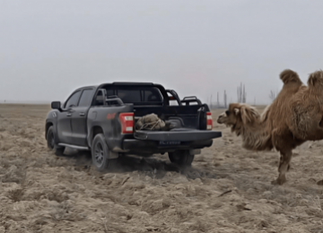 农资运输皮卡选车攻略｜福田火星7征服烂路 硬核护航农资配送